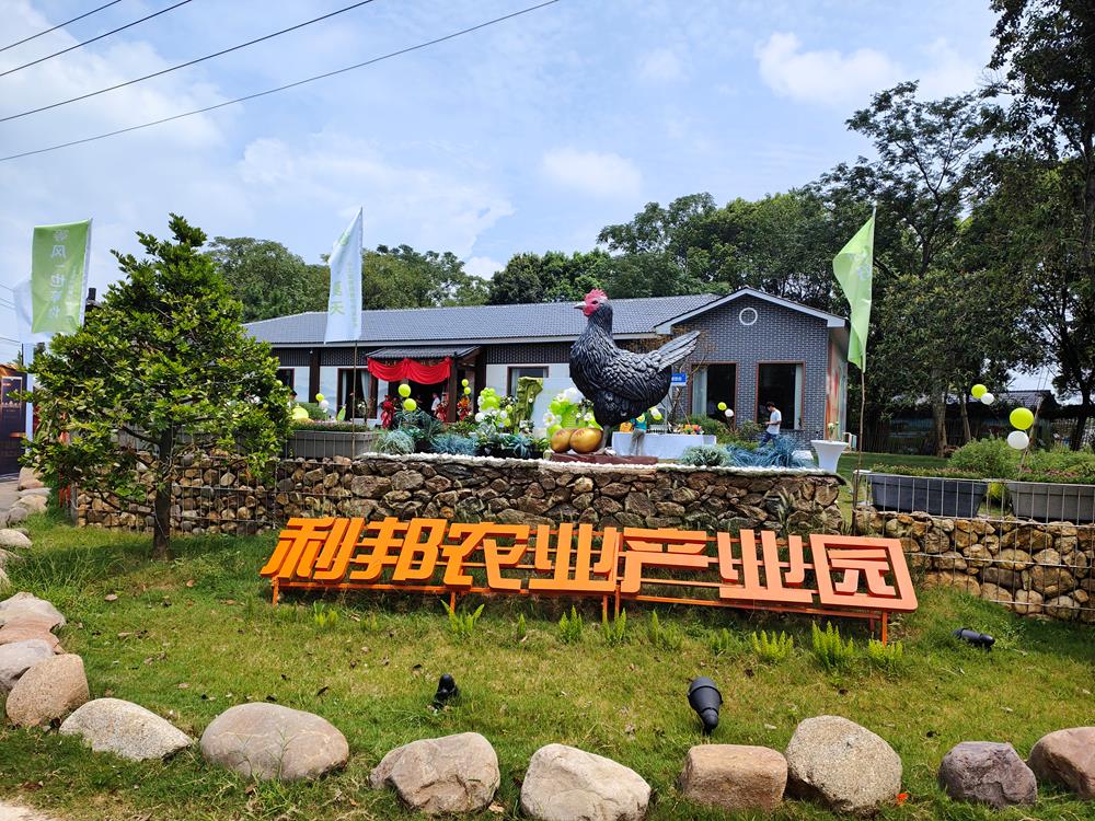 农场1(8).jpg