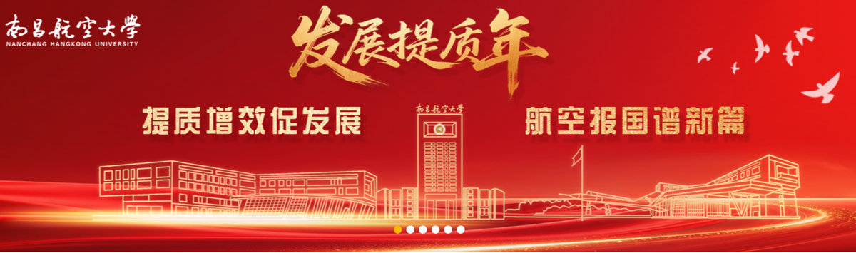 发展提质年